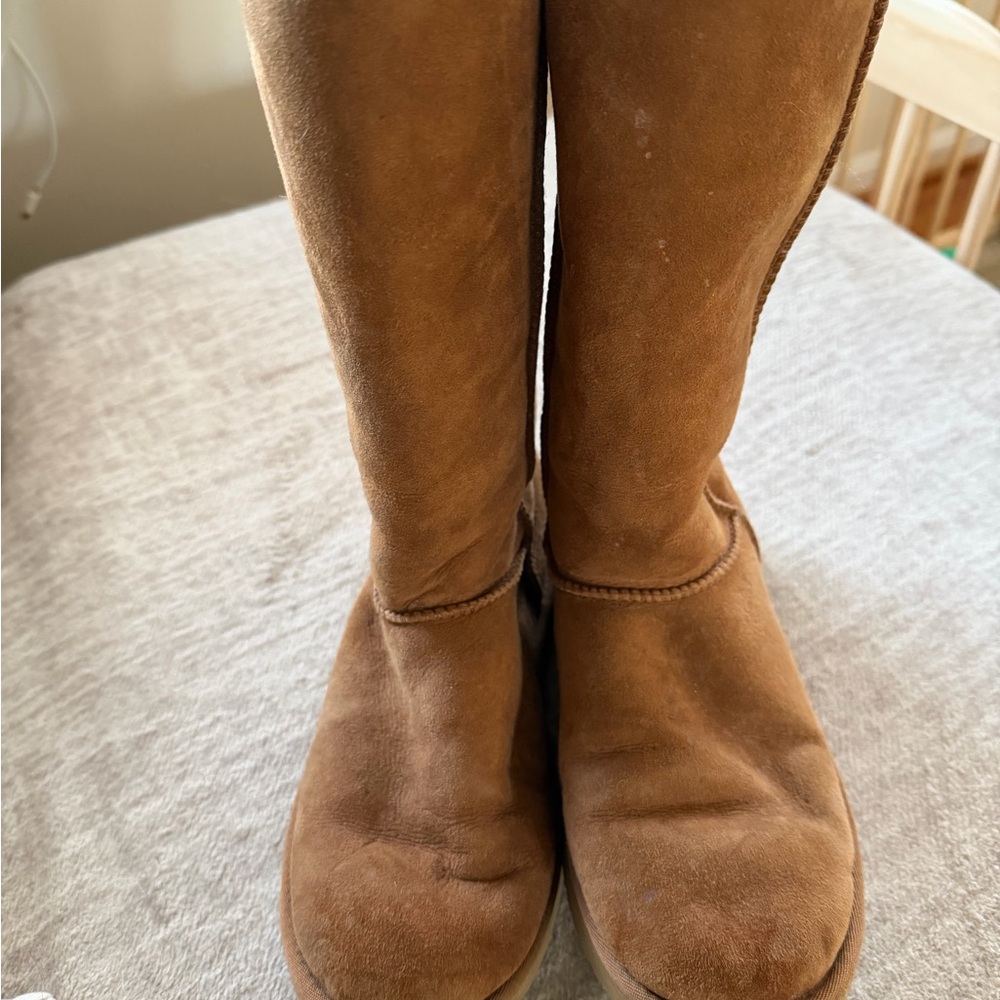 Ugg Tall Chestnut Boots